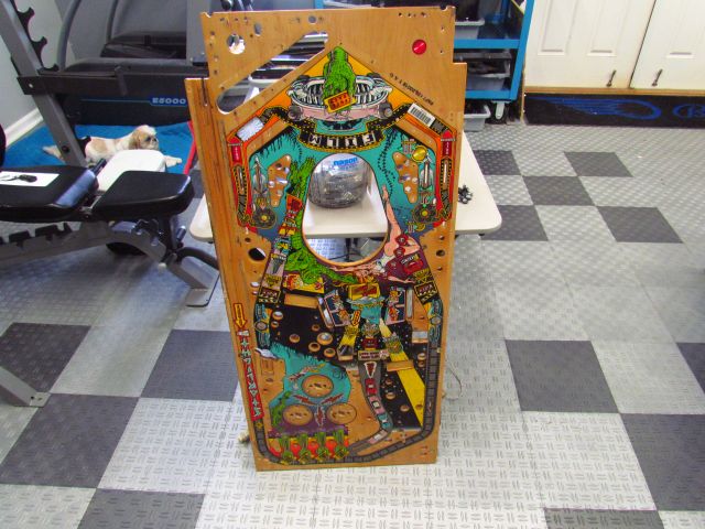 45
Playfield  is stripped complete.Not  good  for much other than maybe  wall art.