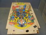 32
 Mylar sections have been removed and the playfield is being prepped for an initial coat of clear.