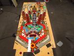 134
This  should  close the playfield restore out less the  final sand and polish depending on how the clear settles in over th